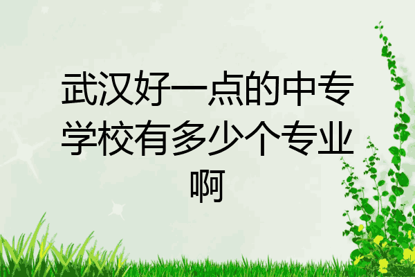 武汉好一点的中专学校有多少个专业啊