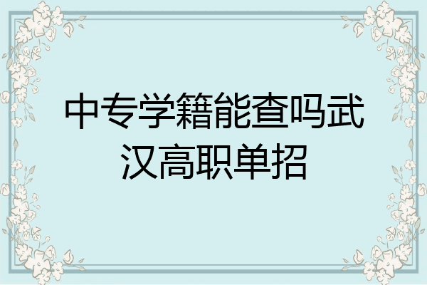 中专学籍能查吗武汉高职单招