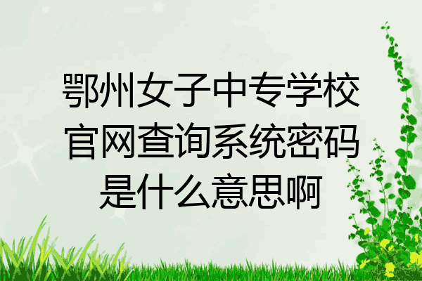 鄂州女子中专学校官网查询系统密码是什么意思啊