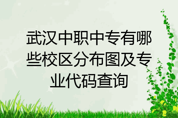 武汉中职中专有哪些校区分布图及专业代码查询