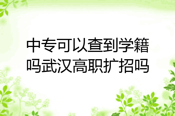 中专可以查到学籍吗武汉高职扩招吗