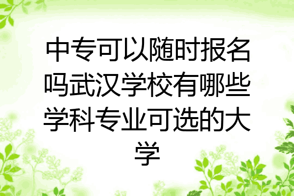 中专可以随时报名吗武汉学校有哪些学科专业可选的大学