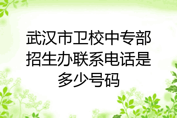 武汉市卫校中专部招生办联系电话是多少号码