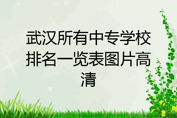 武汉所有中专学校排名一览表图片高清