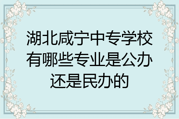 湖北咸宁中专学校有哪些专业是公办还是民办的