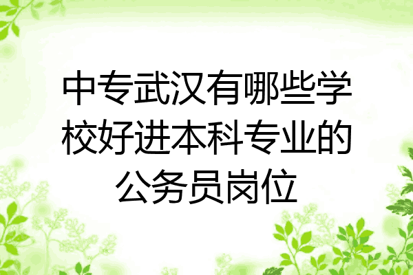 中专武汉有哪些学校好进本科专业的公务员岗位