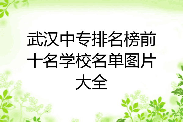 武汉中专排名榜前十名学校名单图片大全