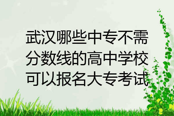 武汉哪些中专不需分数线的高中学校可以报名大专考试
