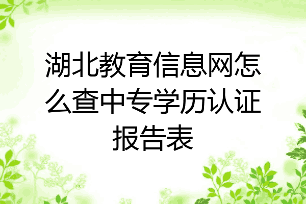 湖北教育信息网怎么查中专学历认证报告表