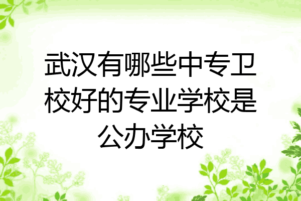 武汉有哪些中专卫校好的专业学校是公办学校