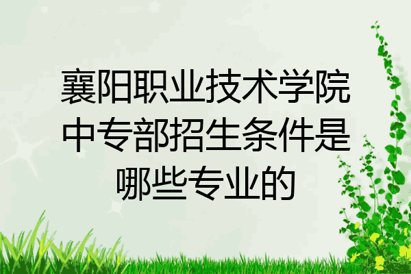襄阳职业技术学院中专部招生条件是哪些专业的