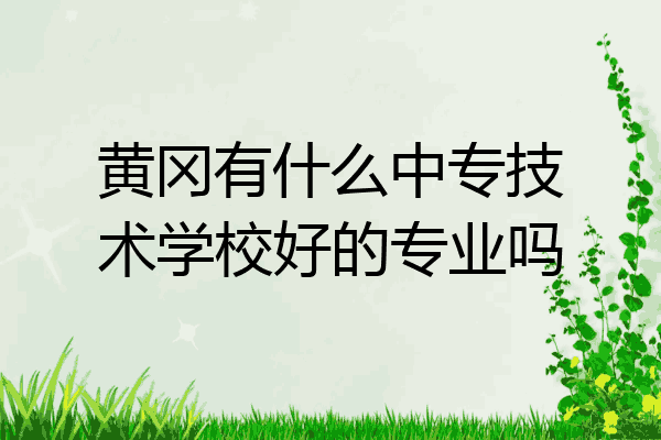 黄冈有什么中专技术学校好的专业吗