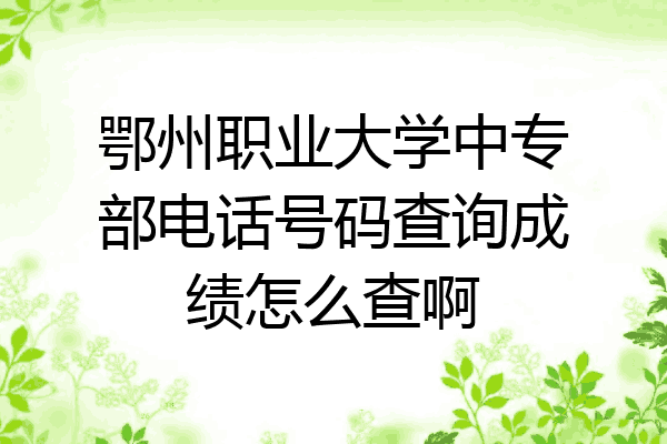 鄂州职业大学中专部电话号码查询成绩怎么查啊