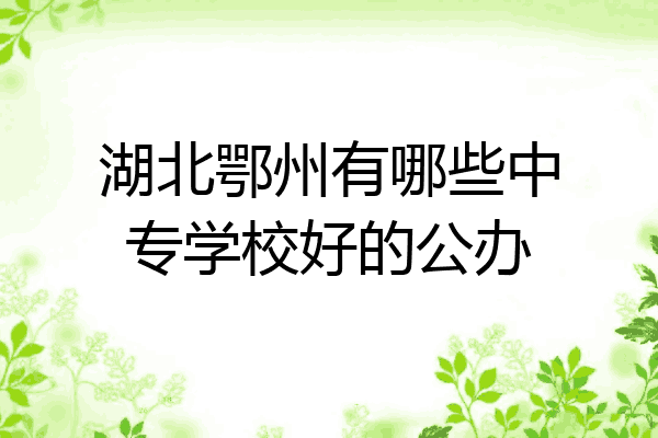 湖北鄂州有哪些中专学校好的公办