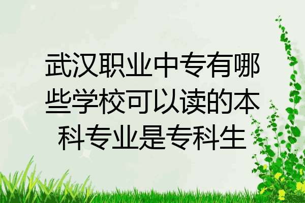 武汉职业中专有哪些学校可以读的本科专业是专科生