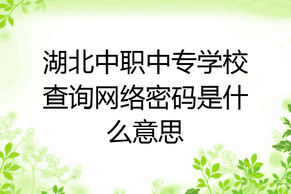 湖北中职中专学校查询网络密码是什么意思