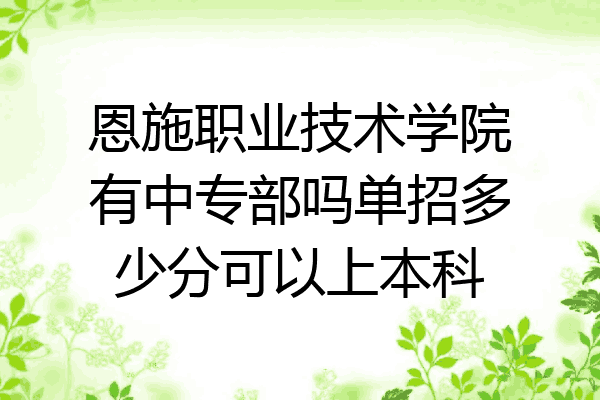 恩施职业技术学院有中专部吗单招多少分可以上本科