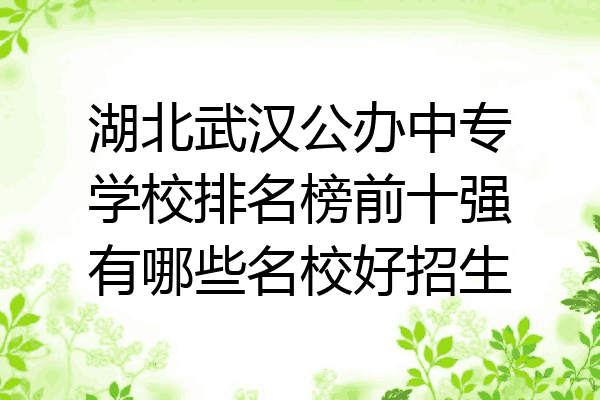 湖北武汉公办中专学校排名榜前十强有哪些名校好招生