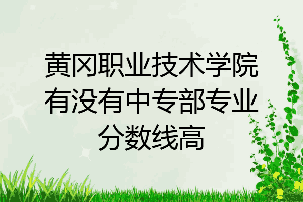 黄冈职业技术学院有没有中专部专业分数线高