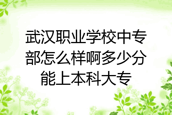 武汉职业学校中专部怎么样啊多少分能上本科大专