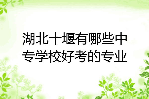 湖北十堰有哪些中专学校好考的专业