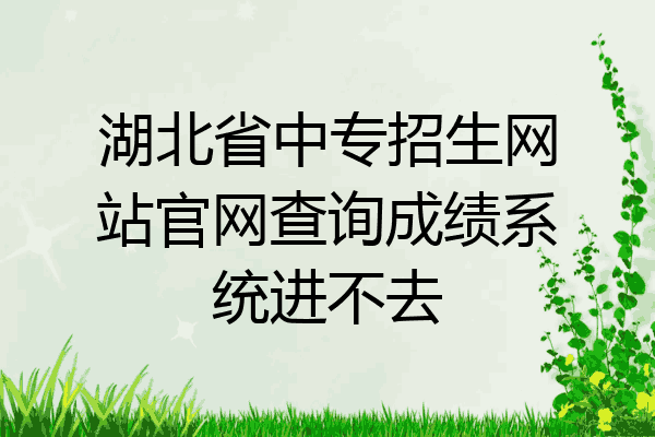湖北省中专招生网站官网查询成绩系统进不去