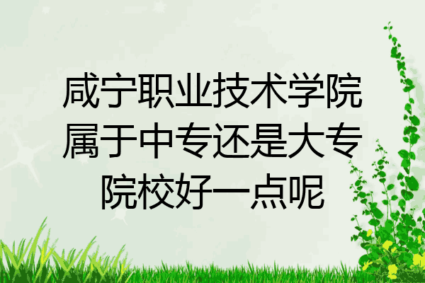 咸宁职业技术学院属于中专还是大专院校好一点呢