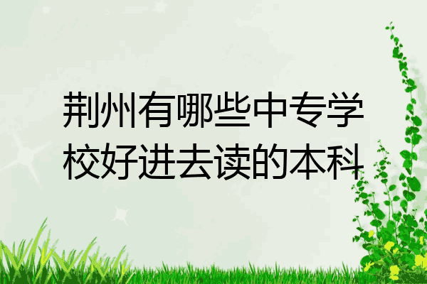 荆州有哪些中专学校好进去读的本科
