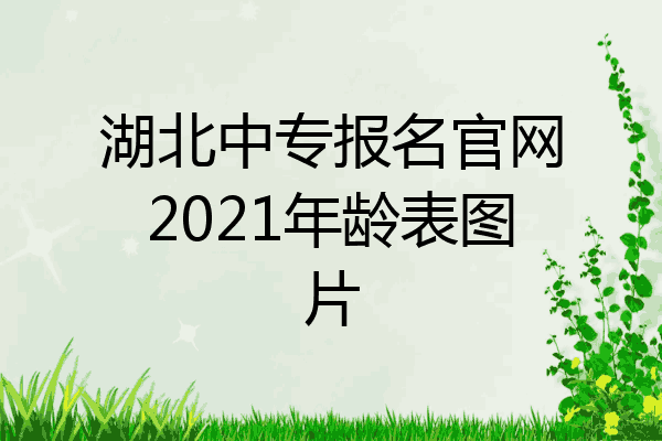 湖北中专报名官网2021年龄表图片