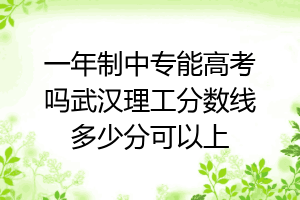 一年制中专能高考吗武汉理工分数线多少分可以上