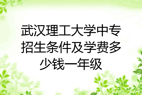 武汉理工大学中专招生条件及学费多少钱一年级
