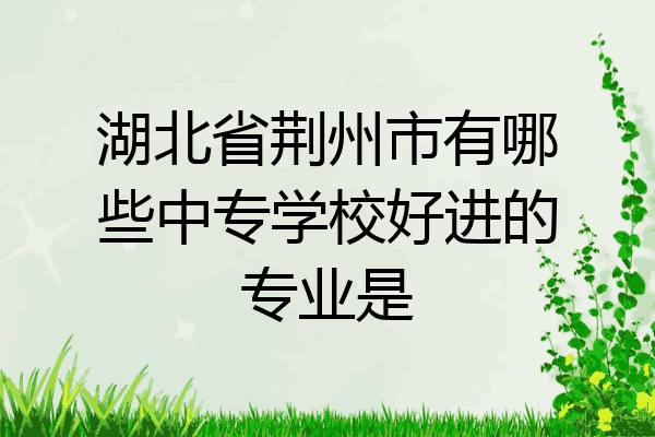湖北省荆州市有哪些中专学校好进的专业是