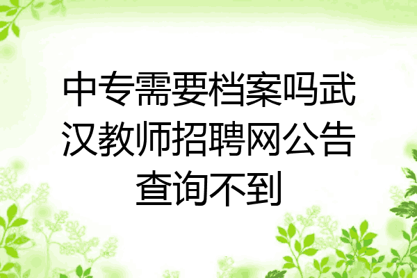 中专需要档案吗武汉教师招聘网公告查询不到