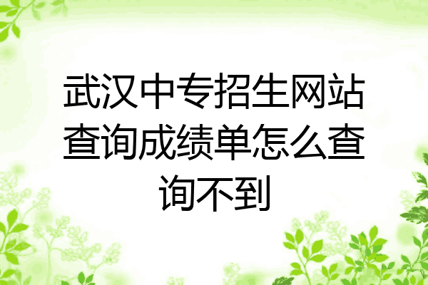 武汉中专招生网站查询成绩单怎么查询不到