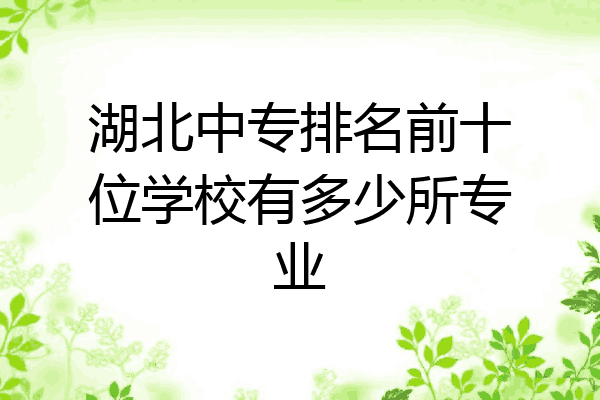 湖北中专排名前十位学校有多少所专业