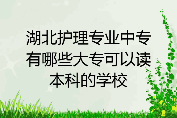 湖北护理专业中专有哪些大专可以读本科的学校