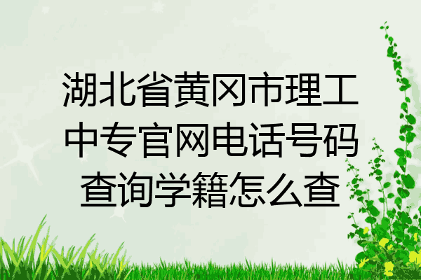 湖北省黄冈市理工中专官网电话号码查询学籍怎么查