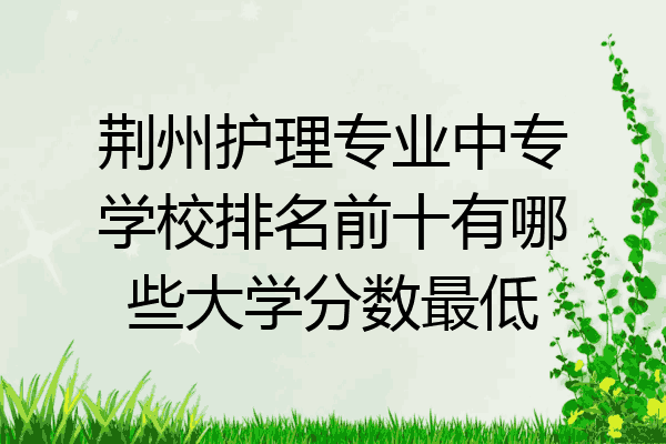 荆州护理专业中专学校排名前十有哪些大学分数最低