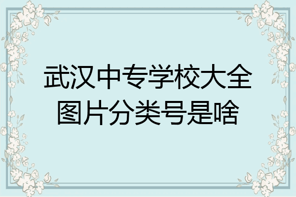武汉中专学校大全图片分类号是啥