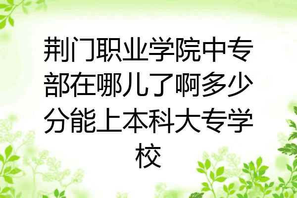 荆门职业学院中专部在哪儿了啊多少分能上本科大专学校