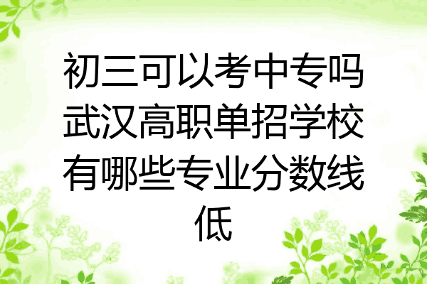 初三可以考中专吗武汉高职单招学校有哪些专业分数线低