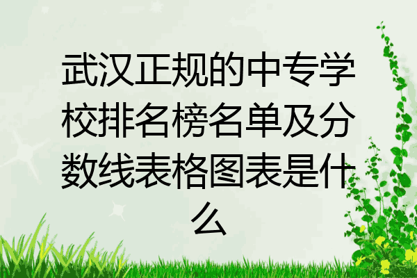 武汉正规的中专学校排名榜名单及分数线表格图表是什么