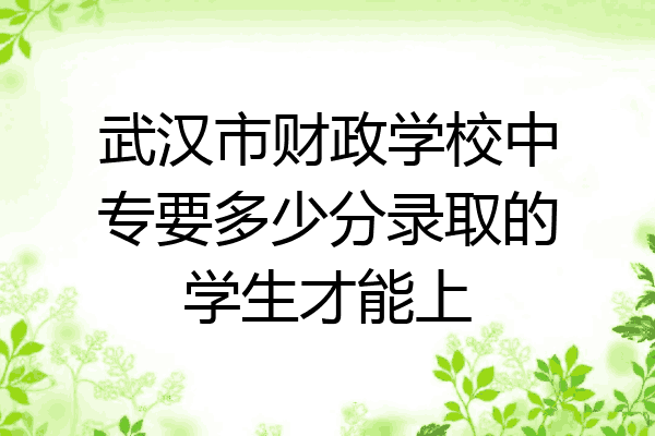 武汉市财政学校中专要多少分录取的学生才能上