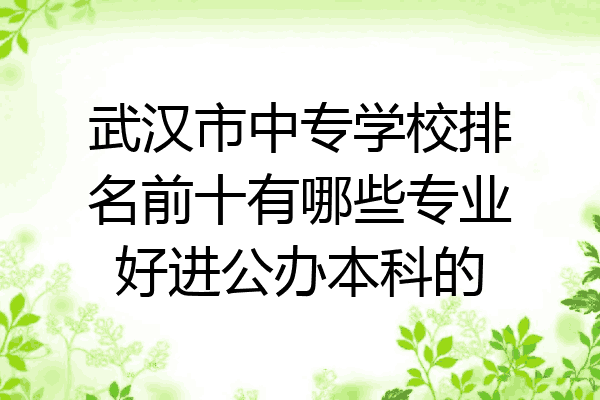 武汉市中专学校排名前十有哪些专业好进公办本科的