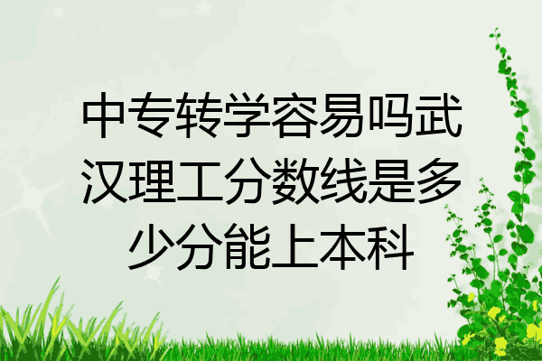 中专转学容易吗武汉理工分数线是多少分能上本科
