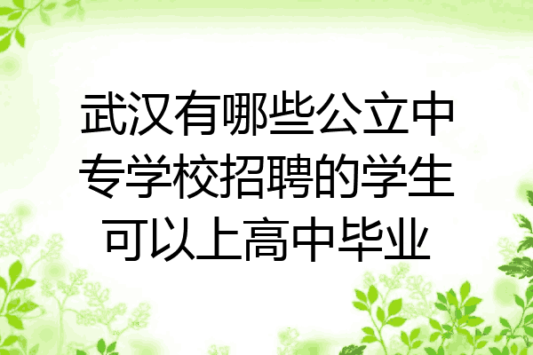 武汉有哪些公立中专学校招聘的学生可以上高中毕业
