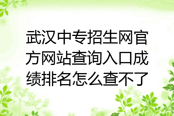武汉中专招生网官方网站查询入口成绩排名怎么查不了