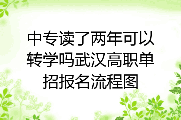 中专读了两年可以转学吗武汉高职单招报名流程图