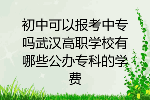 初中可以报考中专吗武汉高职学校有哪些公办专科的学费