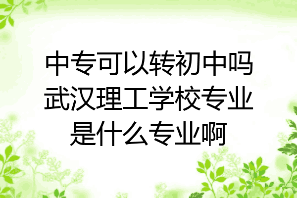 中专可以转初中吗武汉理工学校专业是什么专业啊